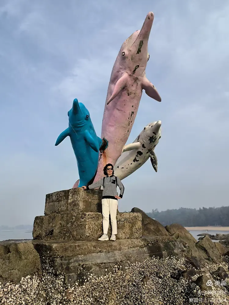 在广西钦州三娘湾看中华白海豚